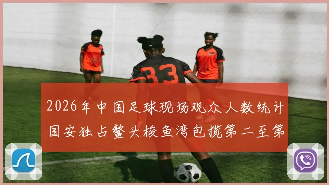 2026年中国足球现场观众人数统计国安独占鳌头梭鱼湾包揽第二至第七位